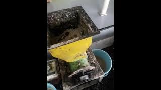 Download lagu membuat bubur dari limbah dapur untuk pakan maggot.