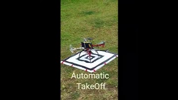 Autonomous Obstacle Avoidance and Landing in Quadrotor UAV