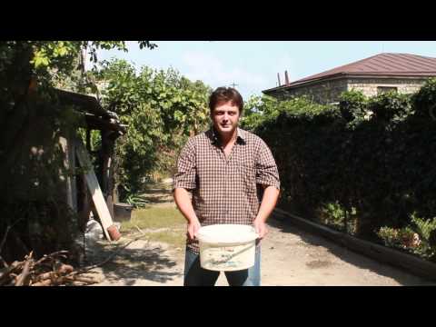 Ice Bucket Challenge - ერეკლე ცოცანიძე