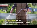 REGIONAL FOODWAYS & MORE!: Farm Fresh in Okinawa - Dig More Japan