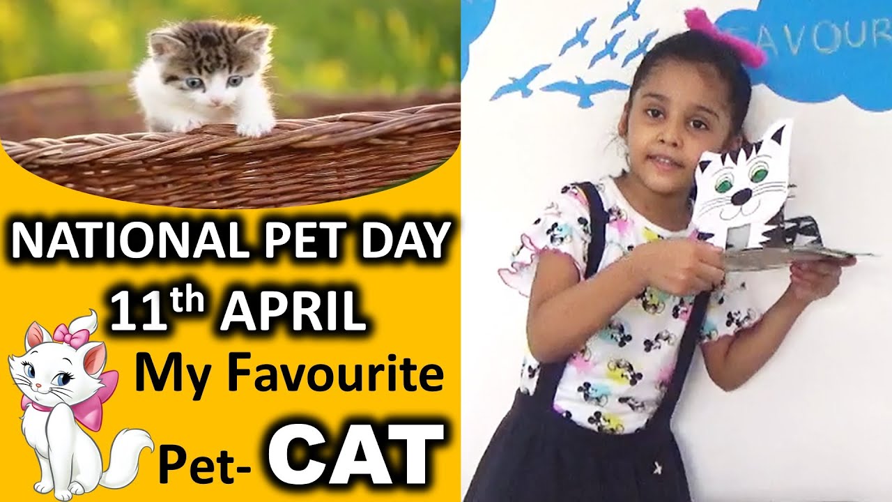 Few Lines on Cat in English | Essay on My Pet Cat | Speech on My Pet Cat | National Pet Day 2023