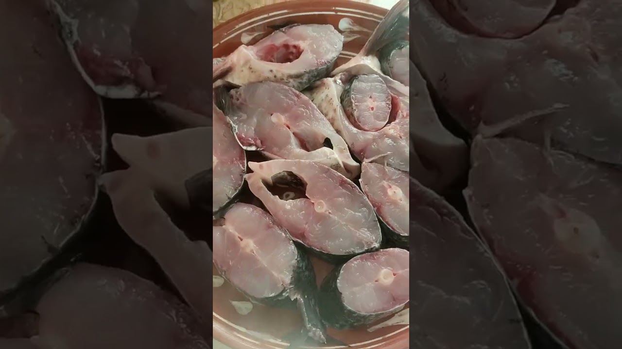 Толстолоб баликлари🫶😋 