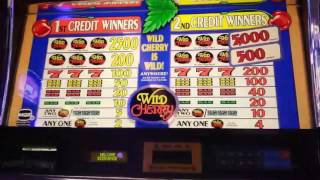Wild Cherry [High Limit] Doubled Up! screenshot 5