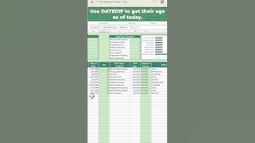 Calculate age from birthdate in Excel Auto-updating formula