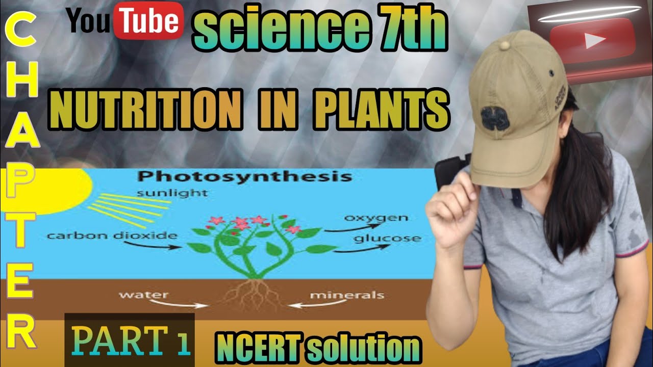 nutrition in plants class 7। ncert class 7 science chapter 1 nutrition ...