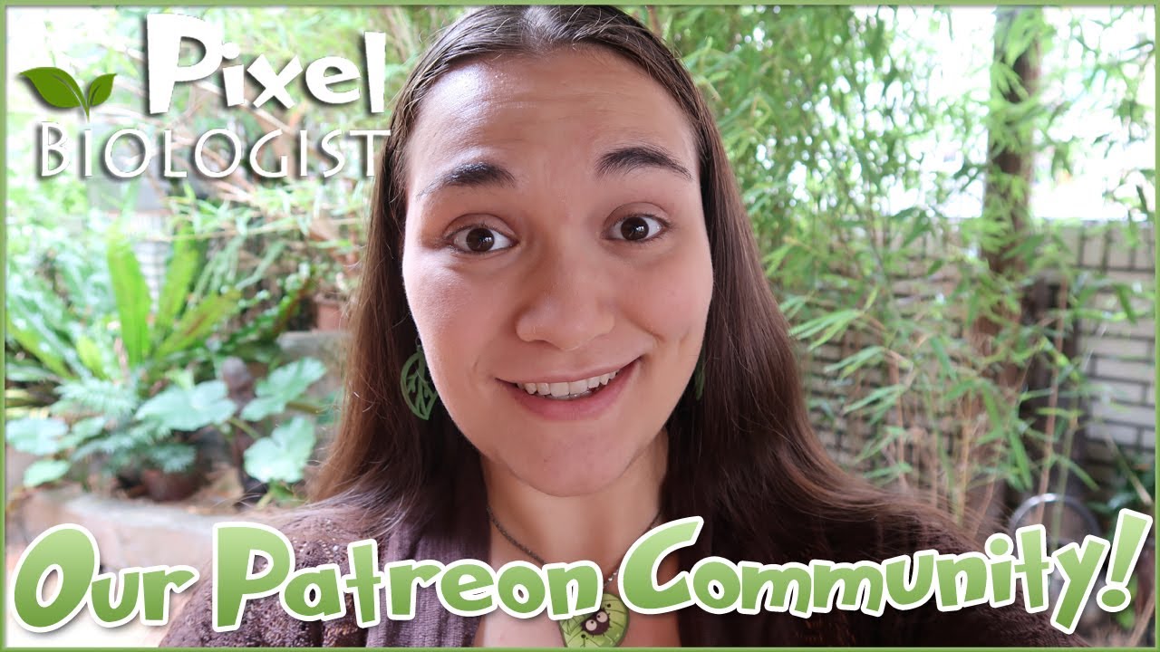 Our Pixel Biology Patreon & Growing Community!! 🌿 Pixel Biology Updates
