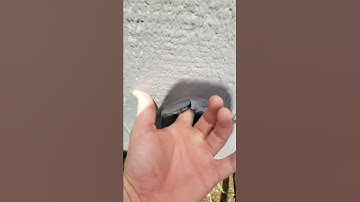 Checking all openings accessible to rodents