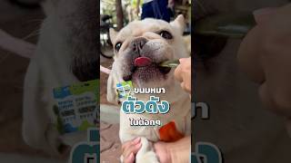 ขนมหมาตัวดังในต้อกๆ