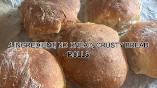 4 Ingredient No-Knead Crusty Bread Rolls| Beginner Friendly 