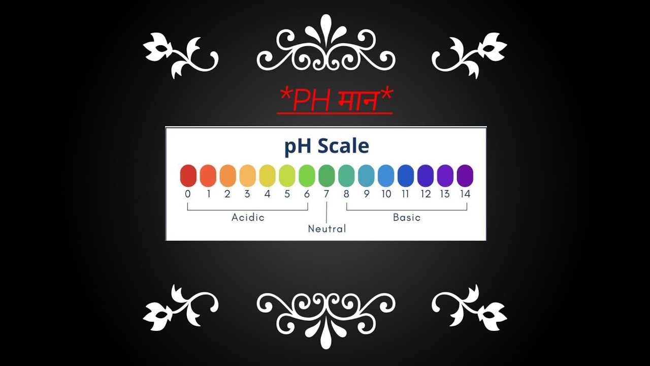 अम्ल तथा क्षार के PH मान // PH Scale // by RG Rajan Gupta// 03/01/2026 