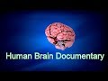 Facts about Human Brain & How Brain Works - Full Documentary