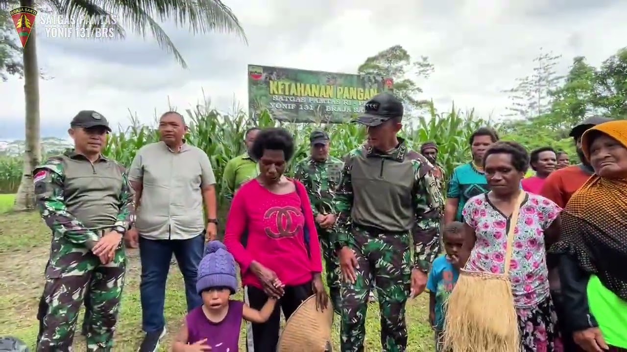 Satgas Yonif 131/Brajasakti dan Warga Wonorejo Panen Jagung Wujudkan Ketahanan Pangan di Perbatasan