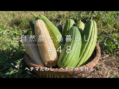 【ゼロからの自然農】#48｜ヘチマたわしを作る｜ヘチマ水採取｜収穫の見極め｜ヘチマたわしの使い心地｜ヘチマの種取り｜ - YouTube