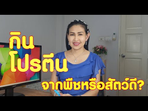 วีดีโอ: โปรตีนนมและโปรตีนจากเนื้อสัตว์ต่างกันอย่างไร?