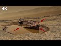 Perseverance Rover Images SOL 1581 | Mars In 4K | NASA MARS Rover Captured Mars Planet Real Video
