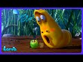 Larva - Bebek Akar ve Larva! | Çocuk Çizgi Film | WildBrain Hayaletli Ev