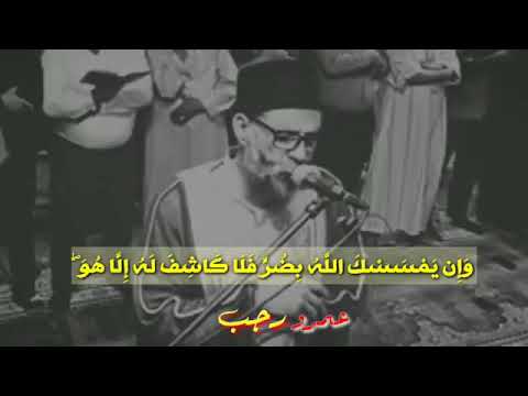 عمرو رجب