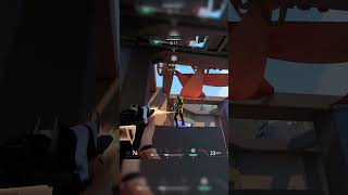 Reyna in TDM
