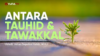 Ceramah Singkat: Antara Tauhid dan Tawakkal - Ustadz Johan Saputra Halim, M.H.I.