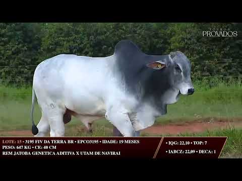 LOTE 15   EPCO 3195