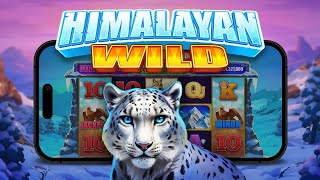 💥 HIMALAYAN WILD (PRAGMATIC PLAY) 💥 ULTRA BIG WIN! 💥 NEW SLOT! 💥