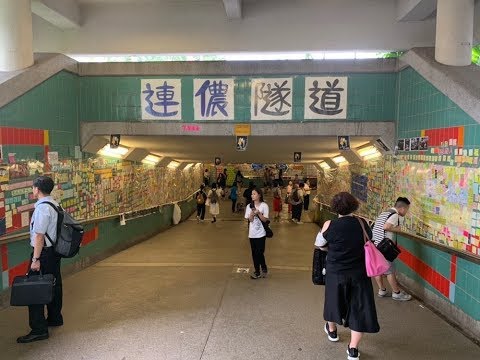 《石濤聚焦》「習近平對港政策三原則:不得流血 開槍 動用解放軍」那港府警隊高層「設計流血 死亡」源自何處?林鄭被「壽終正寢」 投資家巴斯『香港是中國國外來資本的輸入口岸』