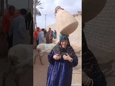 جديد اغنيه الحاجه نبيله 2026