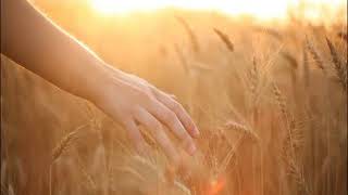 Cihan Bozkurt - Akustik Şadol Deli Gönül Müjdeler Olsun