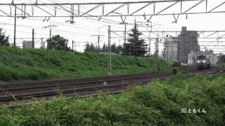 東海道本線　大垣　－　関ヶ原　2011/07撮影　EF66
