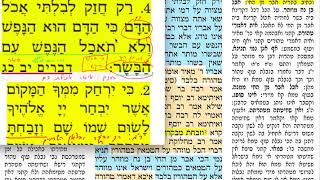 חולין קב 102 הדף היומי מסכת חולין דף קב 102שבת ב אדר ב תשעט  DAF YOMI CHULLIN DAF 102 קב