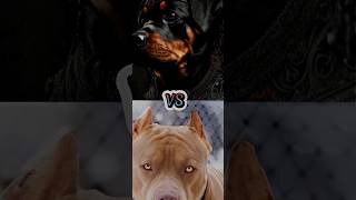 PITBULL VS ROTTWEILER,DOBERMAN,AMERICAN PITBULL,WOLFDOG(MOST DANGEROUS DOG BREED