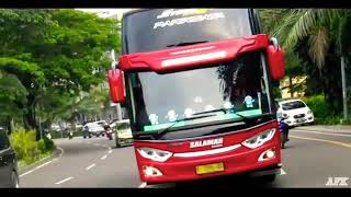 story wa,bus salamah