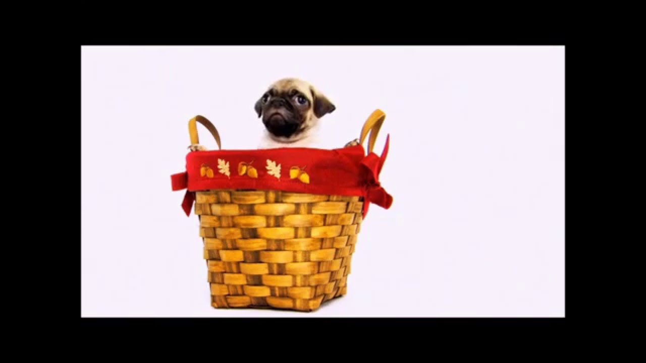 It's Time To Upgrade To A Bigger Place