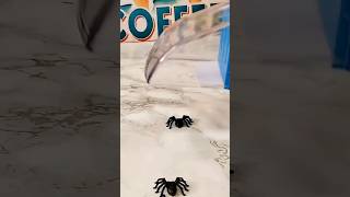 This Gadget Catches Bugs Without Touching Them!