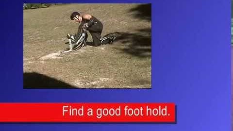 poweriser-howtostand on xkicks