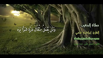 القارئ إبراهيم شامي صلاة المغرب الاثنين 4 5 1441 هجرية