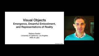 Celebrity Visual Objects: Their Emergence, Representation, and Embodiment Net Worth