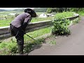 6月は雨と晴天の繰り返し|晴れ間には草刈りして雨が降れば畑作業して…天候とともに自宅周辺を綺麗にした半月でした