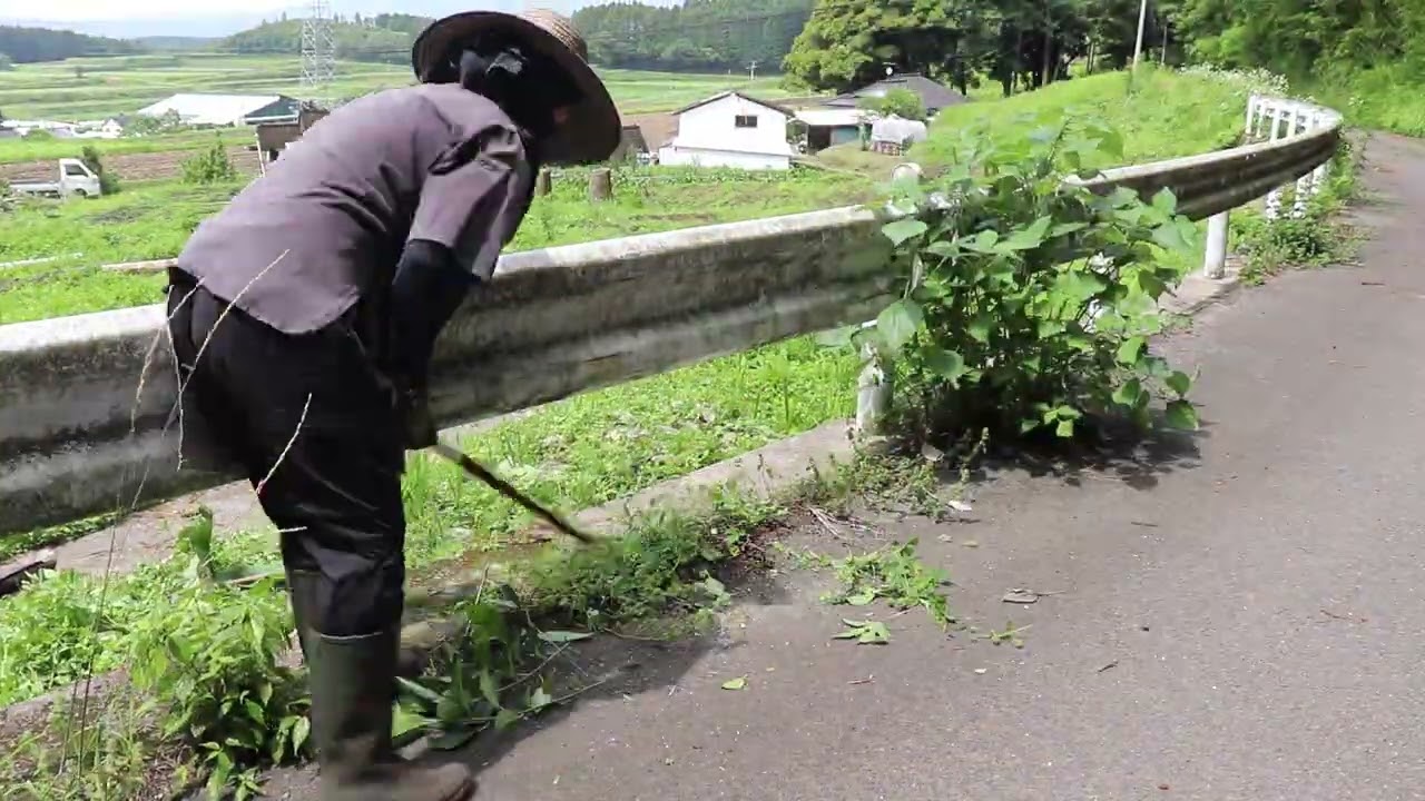 6月は雨と晴天の繰り返し|晴れ間には草刈りして雨が降れば畑作業して…天候とともに自宅周辺を綺麗にした半月でした