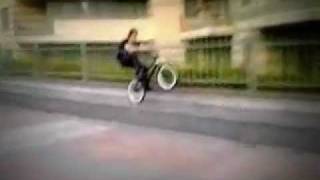 Bunny Manual - Xavier