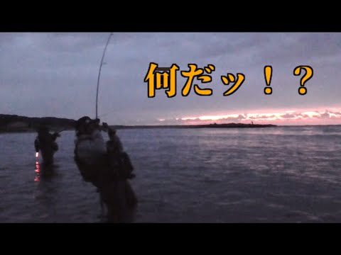 冬のシーバスフィッシングに行ったら●●が連発して最高の釣りになった！