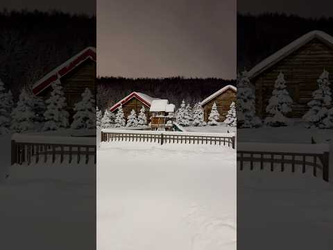 Înfometat în Arctica.