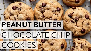 Peanut Butter Chocolate Chip Cookies | Sally's Baking
