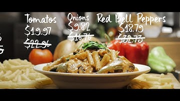 SCOUT Software Intro