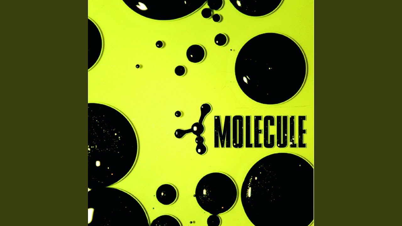 Trop bon trop con (feat. Leeroy (Saïan Supa Crew)