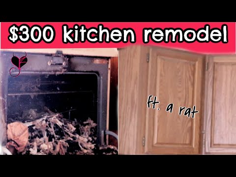 DIY BUDGET FRIENDLY KITCHEN REMODEL | HOW TO REMODEL YOUR KITCHEN AFFORDABLE | KITCHEN REMODEL IDEAS thumbnail
