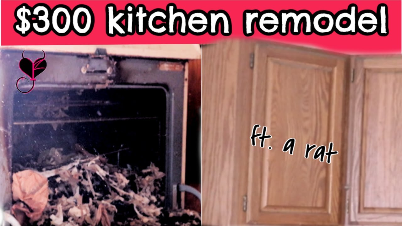 DIY BUDGET FRIENDLY KITCHEN REMODEL HOW TO REMODEL YOUR KITCHEN