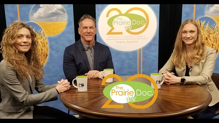 Living with PTSD and Past Trauma | On Call with the Prairie Doc | Apr. 14, 2022