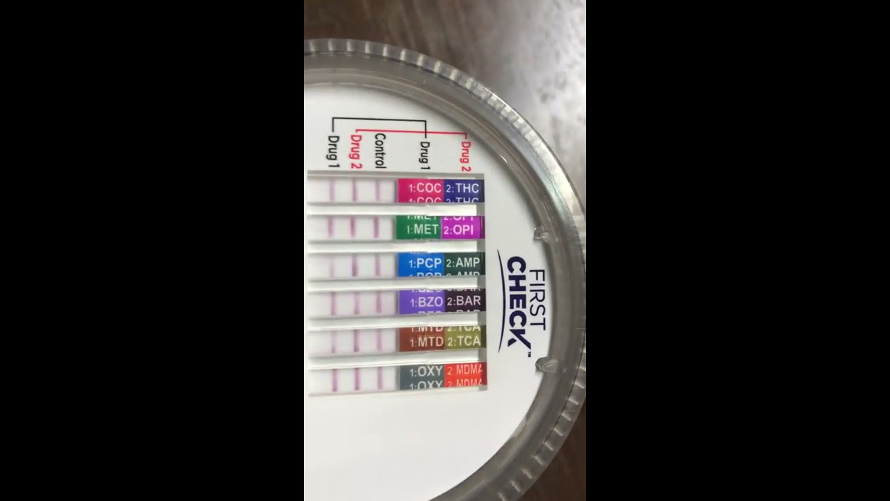 BEER DRUG TEST! (12 PANEL) YouTube