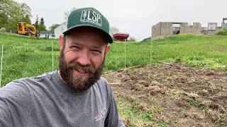 Potatoes, Farmall M Fix, First Crop Update
